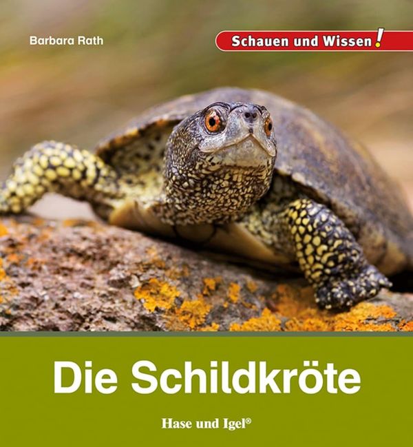 Die Schildkröte - Barbara Rath (Buch)