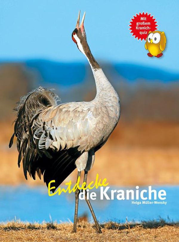 Entdecke die Kraniche - Helga Müller-Wensky (Buch)