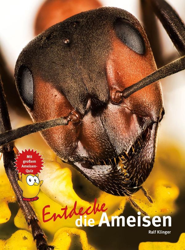 Entdecke die Ameisen - Ralf Klinger (Buch)