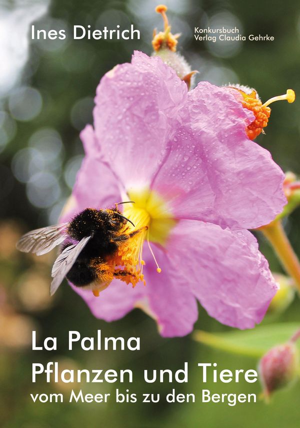 La Palma. Pflanzen und Tiere vom Meer bis zu den Bergen (Buch)