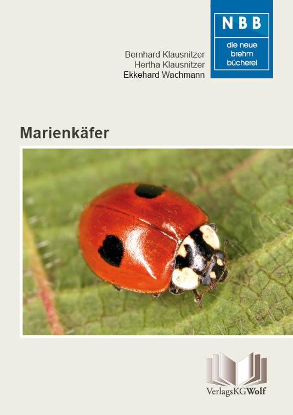 Marienkäfer - Bernhard Klausnitzer (Buch)