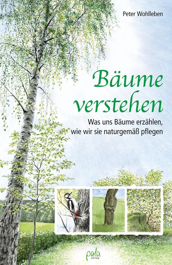 Bäume verstehen - Peter Wohlleben (Buch)