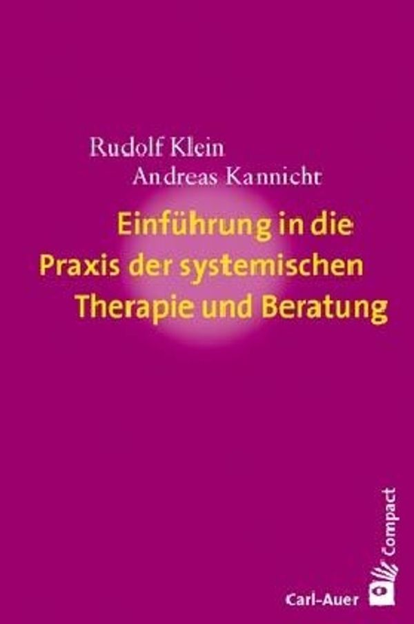 Einführung in die Praxis der systemischen Therapie und Beratung (Buch)