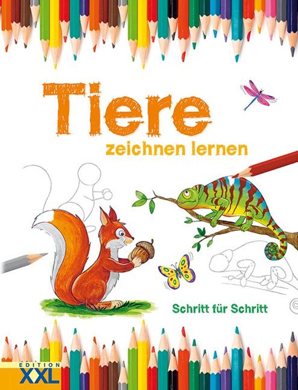 Tiere zeichnen lernen (Buch)