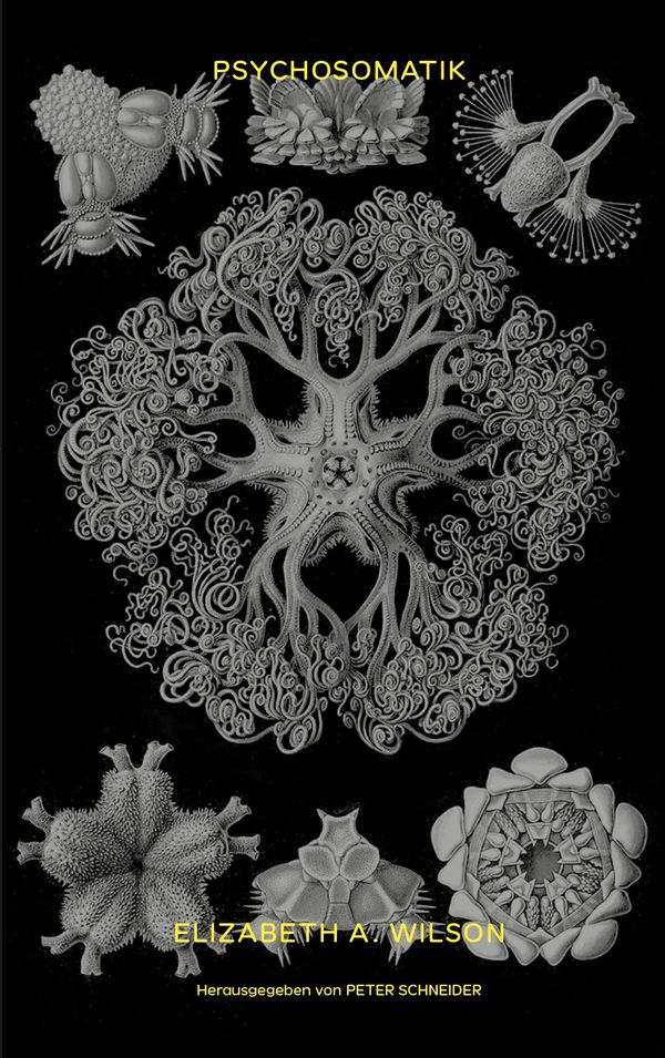 Psychosomatik - Elizabeth A. Wilson (Buch)