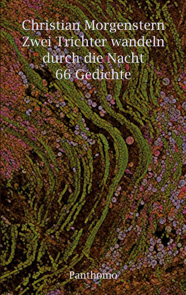 Zwei Trichter wandeln durch die Nacht - Christian Morgenstern (Buch)