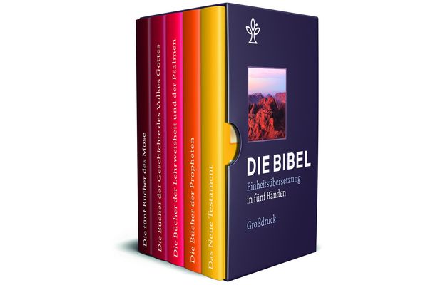 Bibel in 5 Einzelbüchern in Geschenkkassette, Großdruck (Buch)