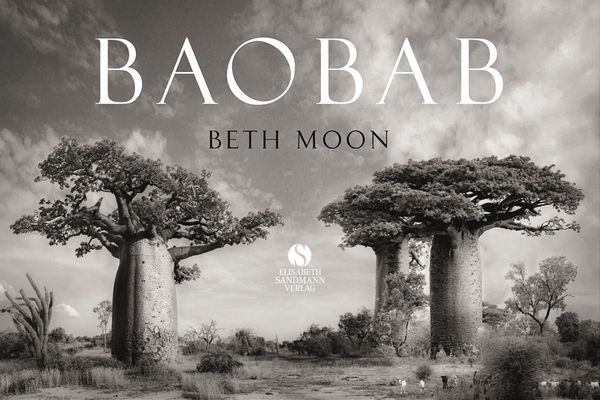 BAOBAB: Meine Reise zu den ältesten Lebewesen und Waldwächtern (Buch)