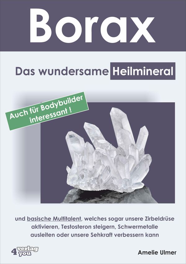 Borax - Amelie Ulmer (Buch)