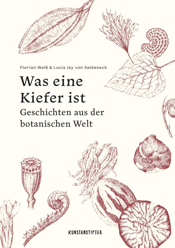 Was eine Kiefer ist - Lucia Jay von Seldeneck (Buch)