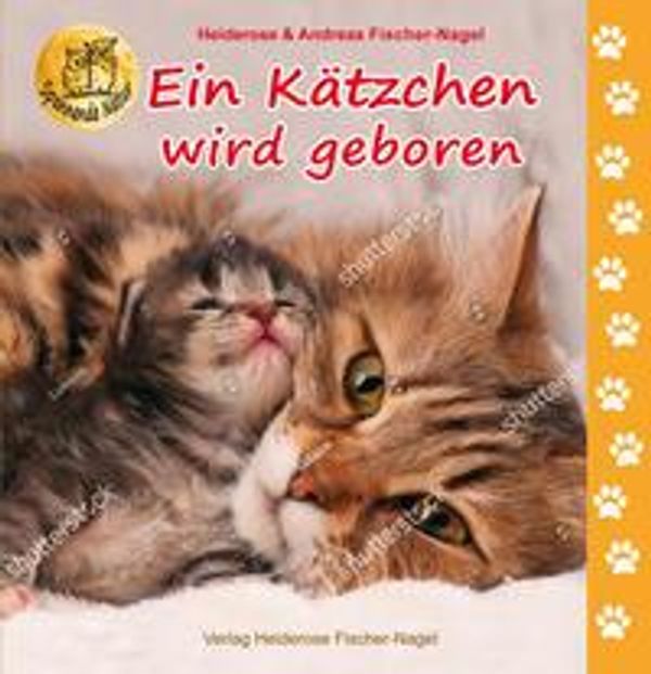 Ein Kätzchen wird geboren - Heiderose Fischer-Nagel (Buch)