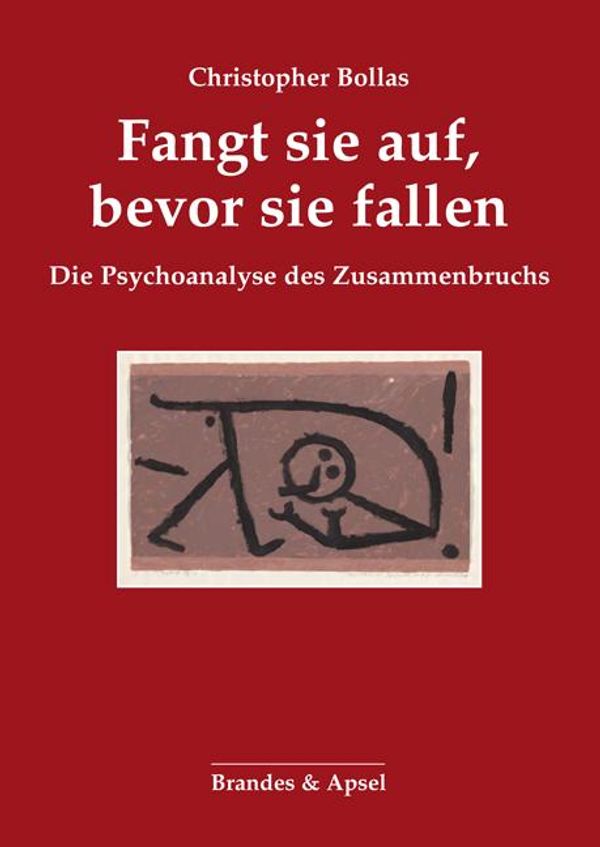 Fangt sie auf, bevor sie fallen - Christopher Bollas (Buch)