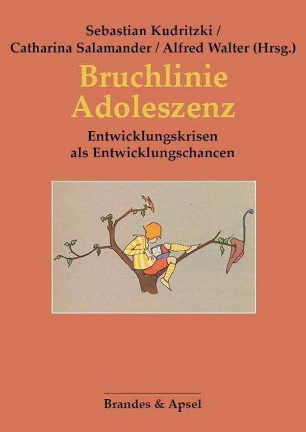 Bruchlinie Adoleszenz (Buch)