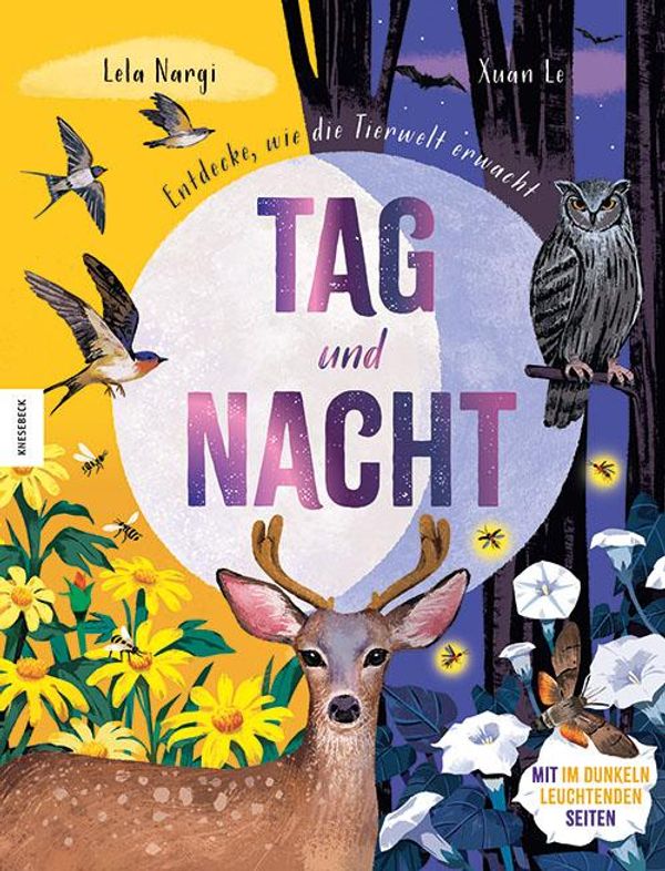 Tag und Nacht - Lela Nargi (Buch)