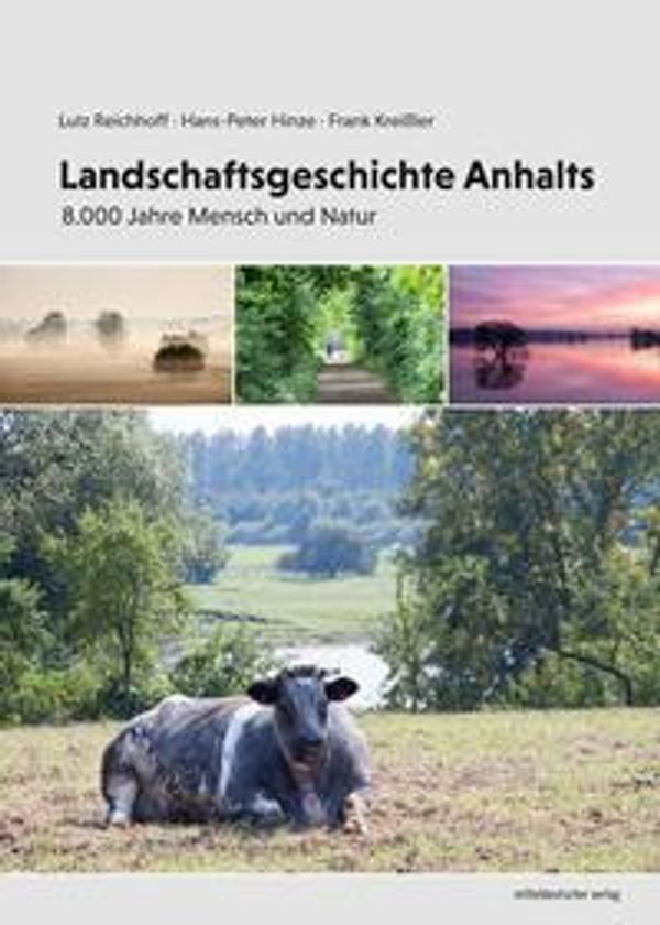 Landschaftsgeschichte Anhalts - Lutz Reichhoff (Buch)
