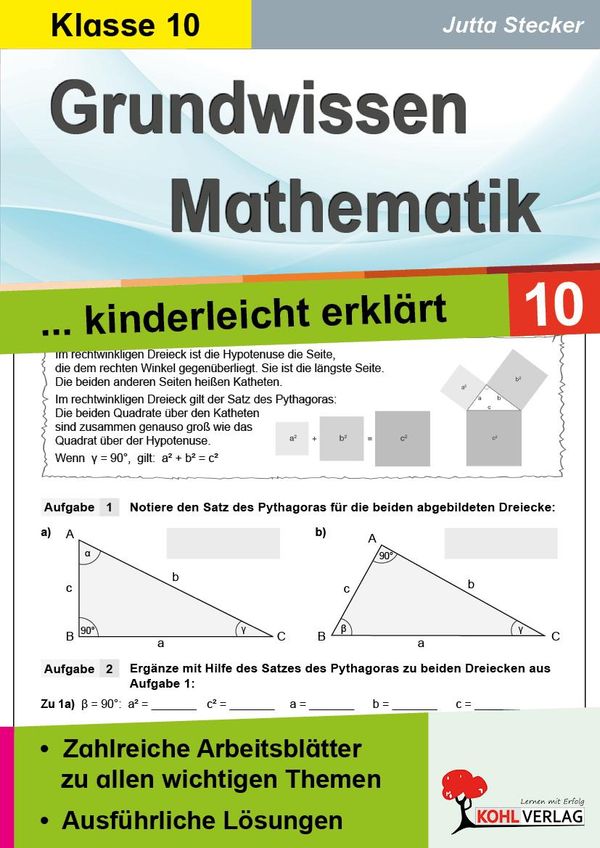 Grundwissen Mathematik / Klasse 10 (Buch)