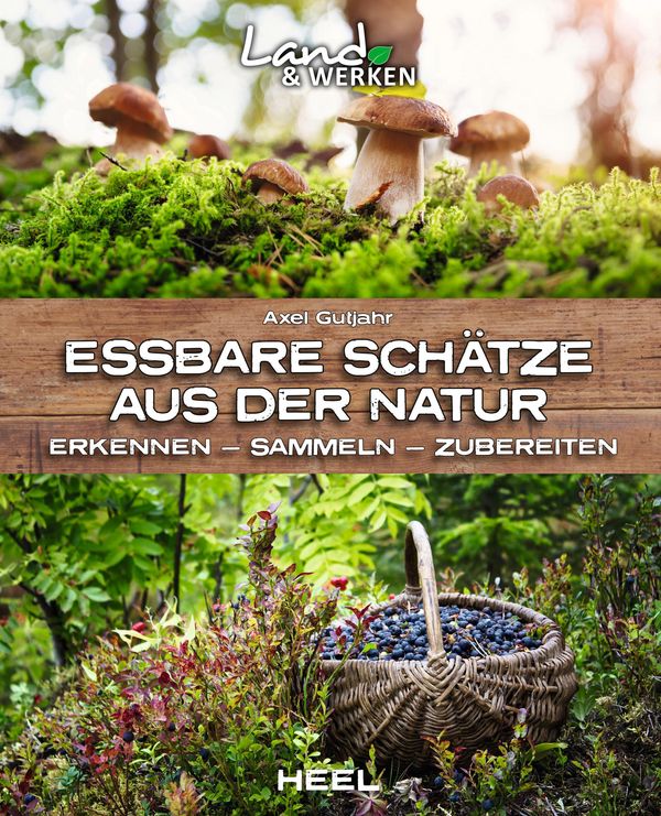 Essbare Schätze aus der Natur: Erkennen - Sammeln - Zubereiten (Buch)