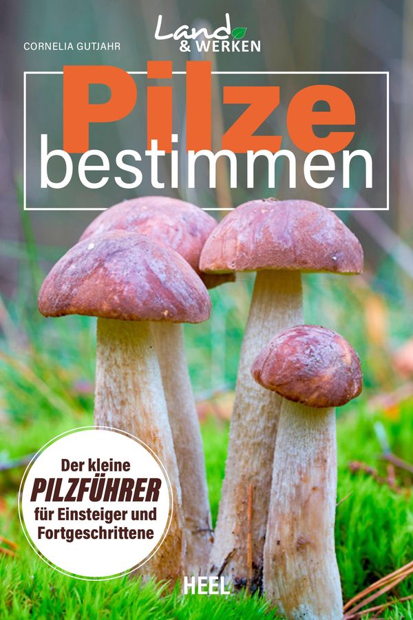 Pilze bestimmen - Der kleine Pilzführer für Einsteiger und Fortgesc...