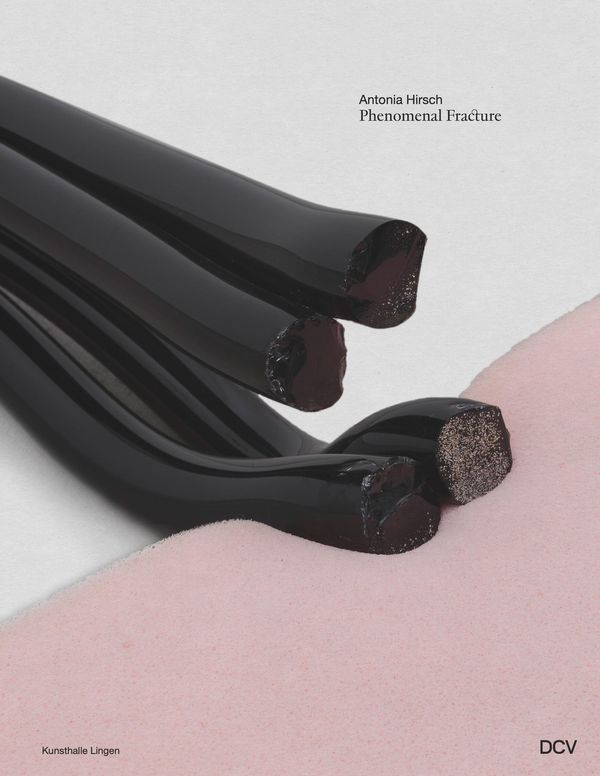 Antonia Hirsch - Phenomenal Fracture - Meike Behm (Buch)