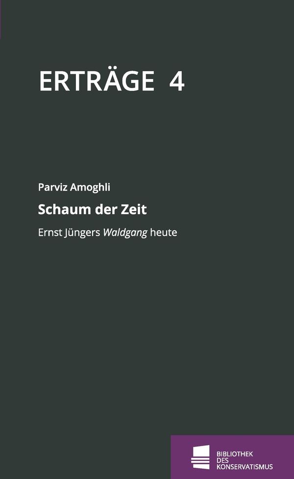 Schaum der Zeit - Parviz Amoghli (Buch)