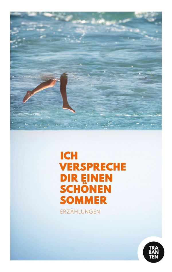 Ich verspreche dir einen schönen Sommer (Buch)
