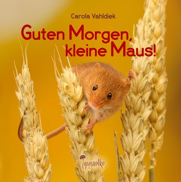 Guten Morgen, kleine Maus! - Carola Vahldiek (Buch)