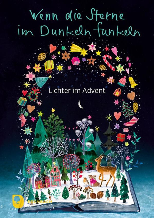 Wenn die Sterne im Dunkeln funkeln (Buch)
