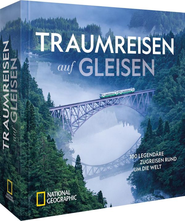 Traumreisen auf Gleisen - Everett Potter (Buch)