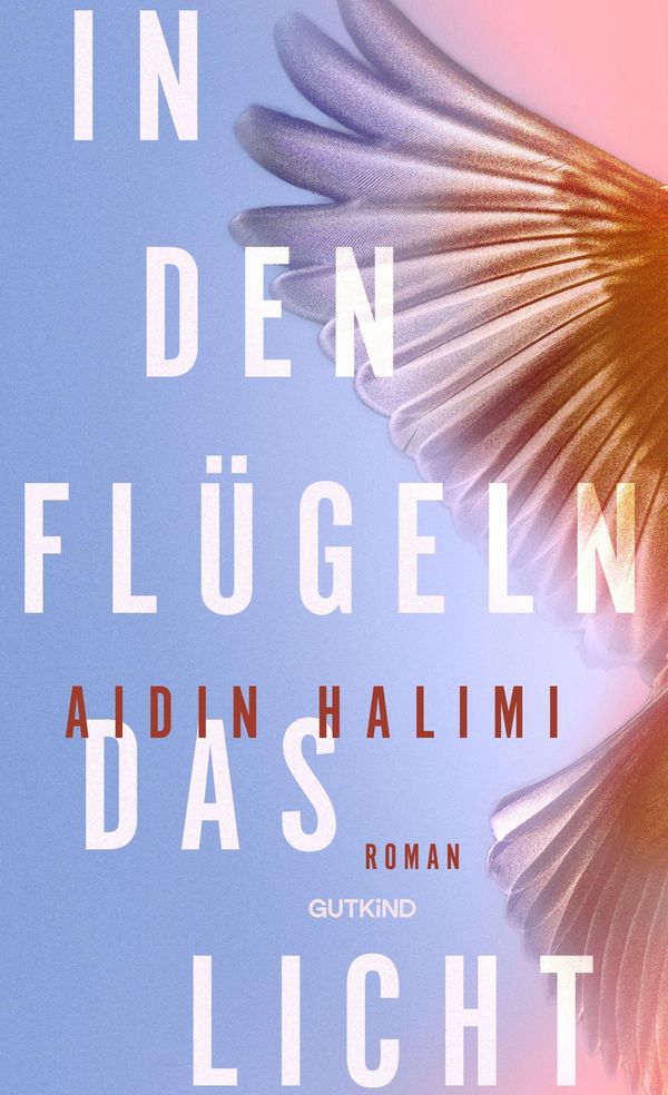 In den Flügeln das Licht - Aidin Halimi (Buch)