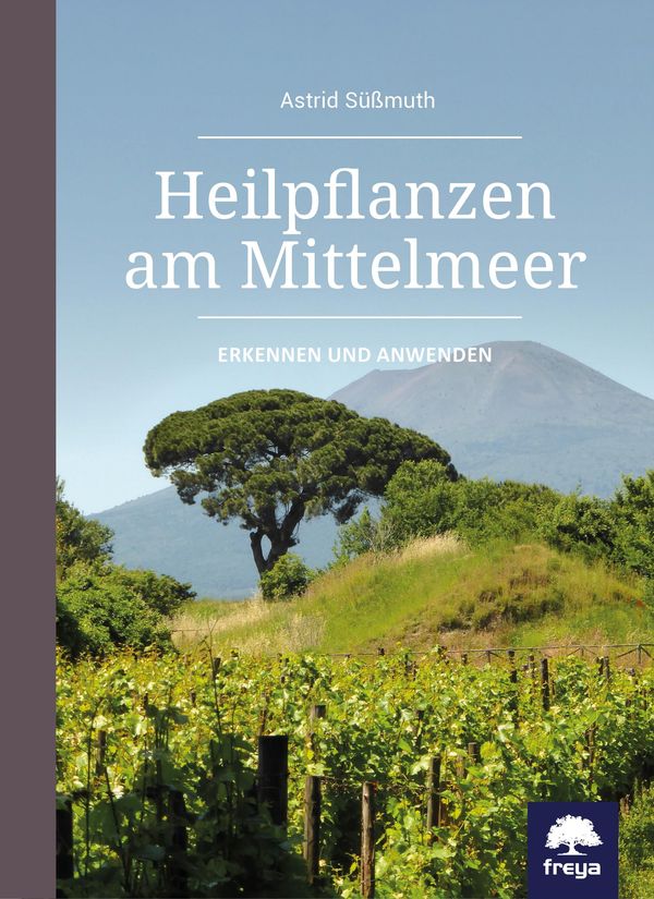 Heilpflanzen am Mittelmeer - Astrid Süßmuth (Buch)
