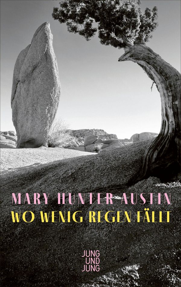 Wo wenig Regen fällt - Mary Hunter Austin (Buch)