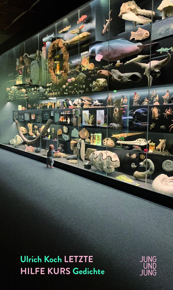 Letzte Hilfe Kurs - Ulrich Koch (Buch)