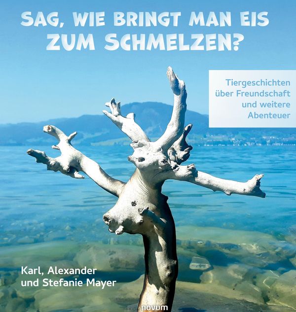 Sag, wie bringt man Eis zum Schmelzen? (Buch)