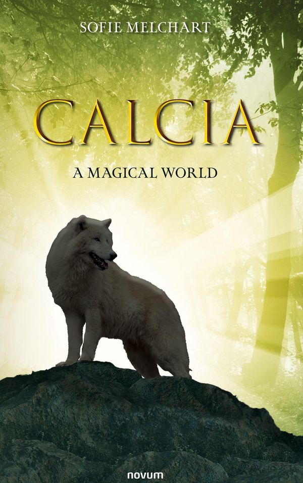 Calcia - Sofie Melchart (Buch)