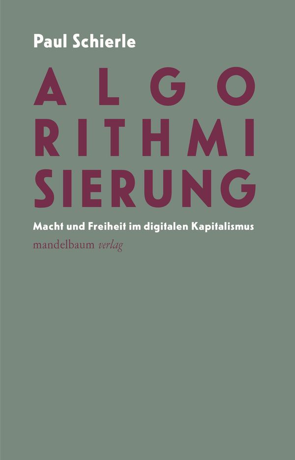 Algorithmisierung - Paul Schierle (Buch)
