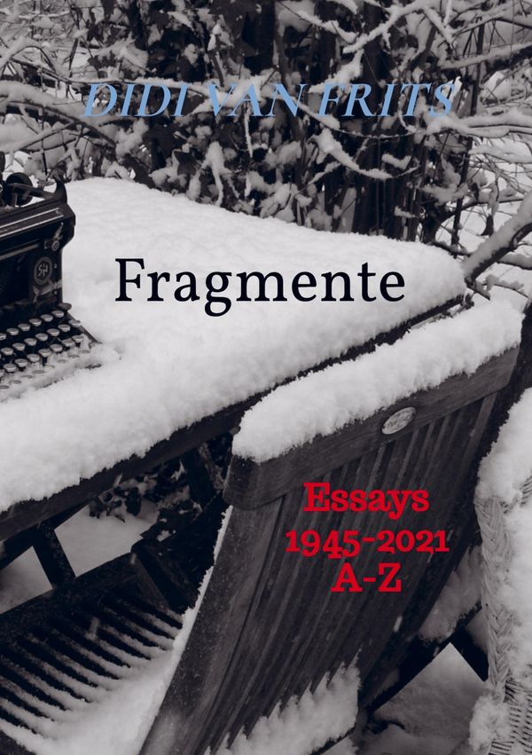 Fragmente - Didi van Frits (Buch)