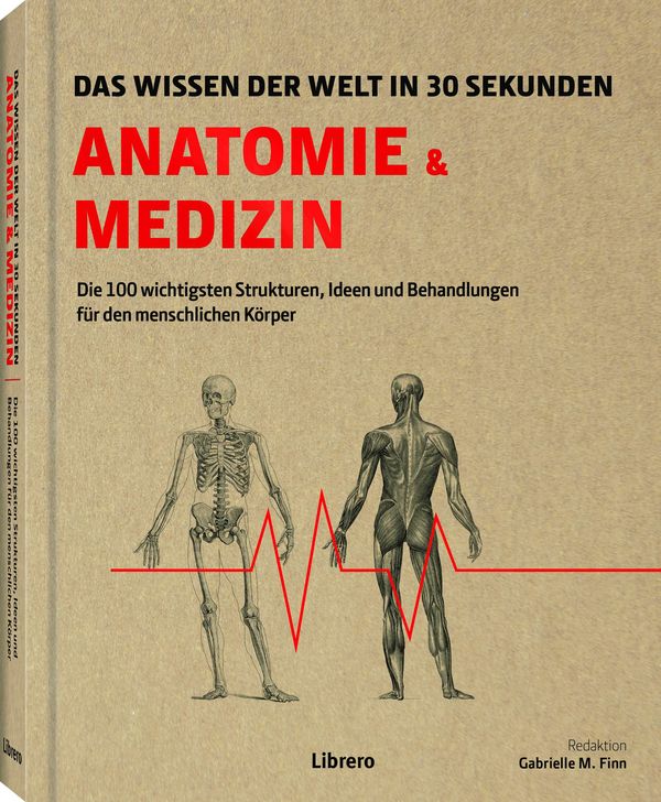 Anatomie und Medizin in 30 Sekunden - Gabrielle M. Finn (Buch)