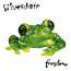 Silverchair: Frogstomp (180g) (Limited Numbered Edition) (Crystal Clear Vinyl mit Fotoprint auf Seite D), 2 LPs (Rückseite)