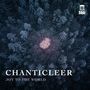 : Chanticleer - Joy to the World, CD