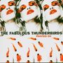 The Fabulous Thunderbirds: Painted On, CD