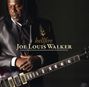 Joe Louis Walker: Hellfire, CD