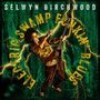 „Selwyn Birchwood“, „Electric Swamp Funkin’ Blues“. Eine dynamische Szene mit Gitarrist und Blitzen auf grünem Hintergrund.
