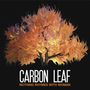 Carbon Leaf: Nothing Rhymes With Woman, CD