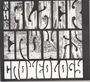 The Black Crowes: Croweology: Acoustic Hits (Re-Recordings), CD,CD