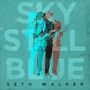 Seth Walker: Sky Still Blue, CD