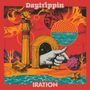 Iration: Daytrippin, CD