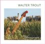 Walter Trout: Common Ground, CD