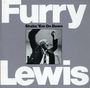 Furry Lewis: Shake 'em On Down, CD