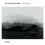 : Hilliard Ensemble - Il Cor Tristo, CD