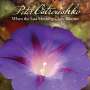 Peter Ostroushko: When The Last Morning Glory..., CD